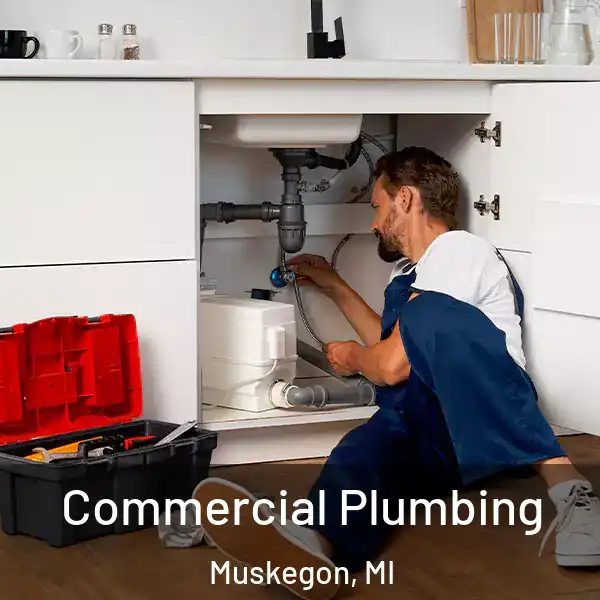  Commercial Plumbing Muskegon, MI
