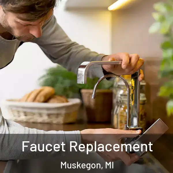  Faucet Replacement Muskegon, MI