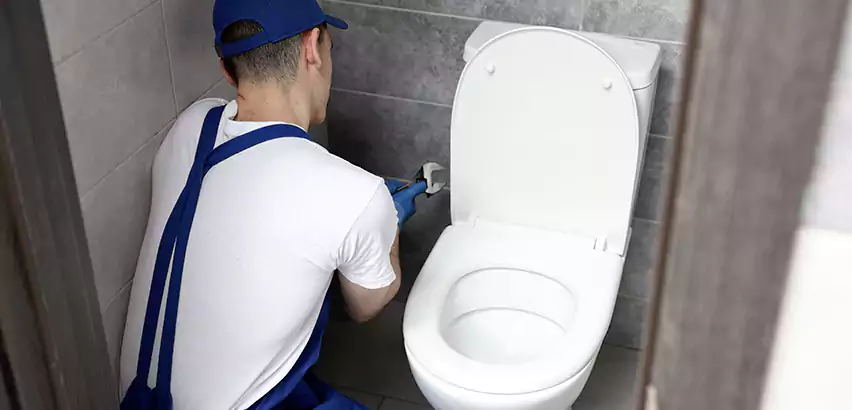 Toilet Lid Replacement in Muskegon