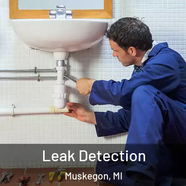  Leak Detection Muskegon, MI