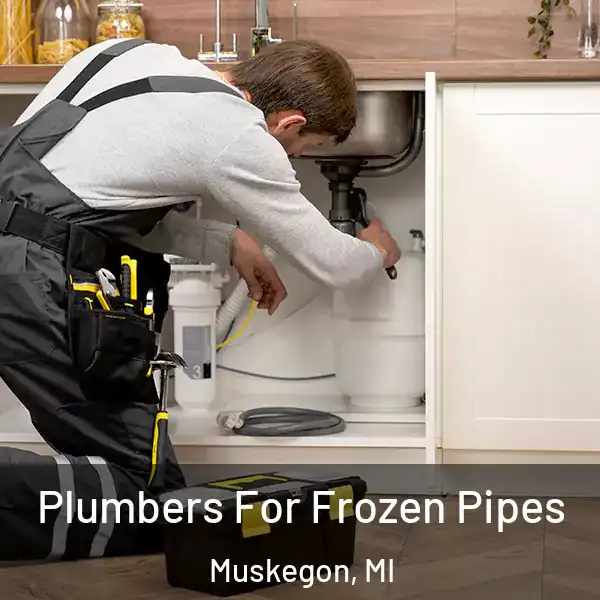  Plumbers For Frozen Pipes Muskegon, MI