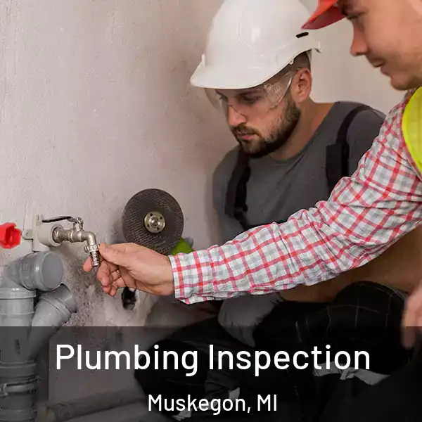  Plumbing Inspection Muskegon, MI