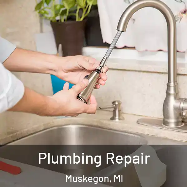  Plumbing Repair Muskegon, MI