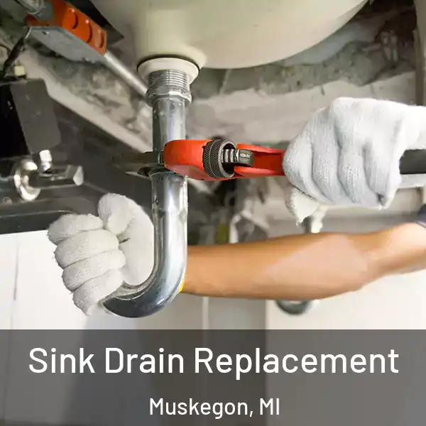  Sink Drain Replacement Muskegon, MI