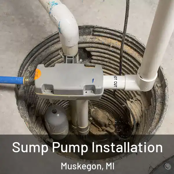  Sump Pump Installation Muskegon, MI