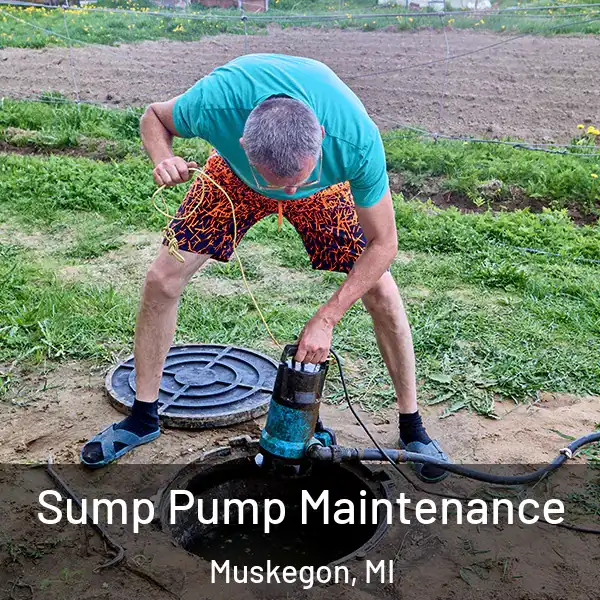  Sump Pump Maintenance Muskegon, MI