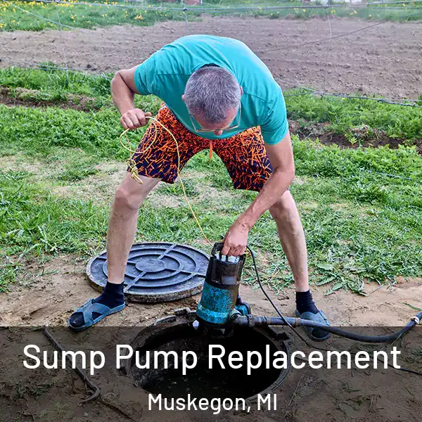  Sump Pump Replacement Muskegon, MI