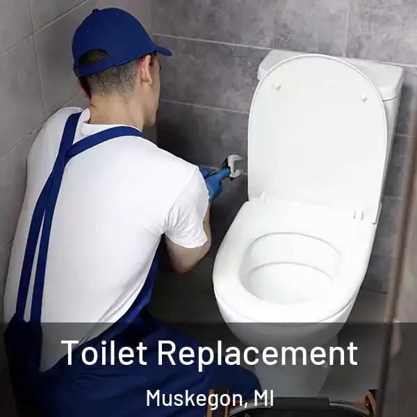  Toilet Replacement Muskegon, MI
