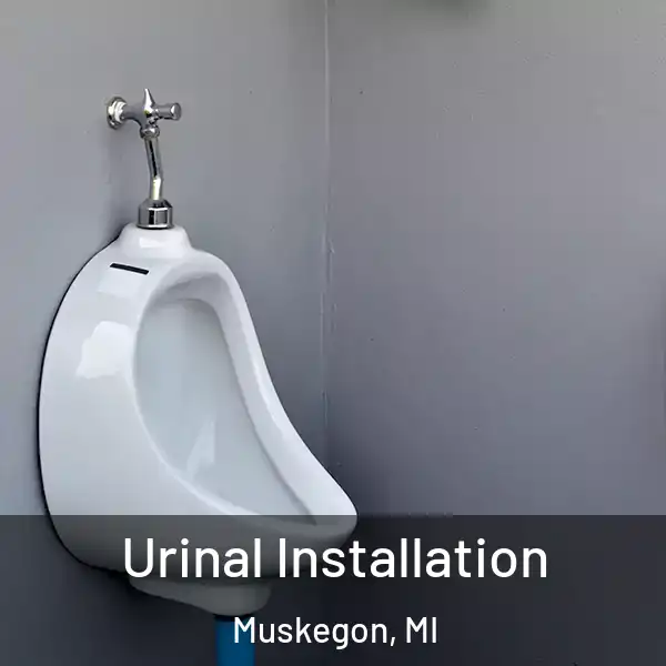  Urinal Installation Muskegon, MI