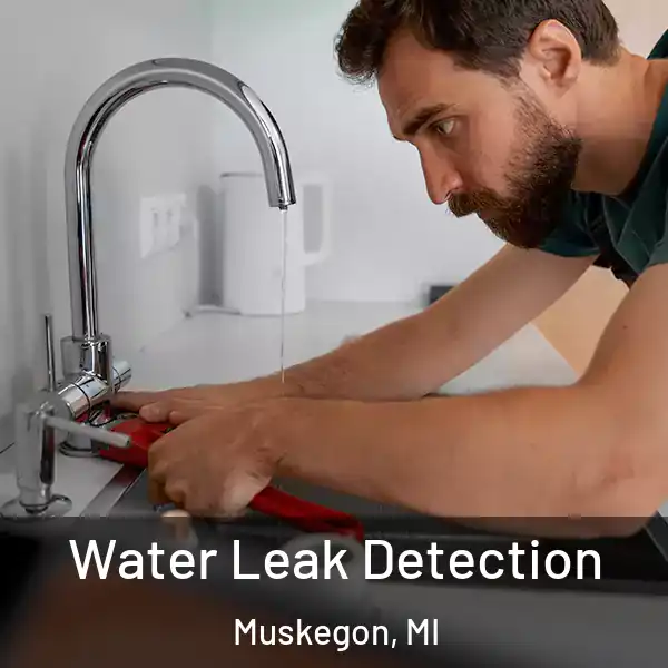 Water Leak Detection Muskegon, MI