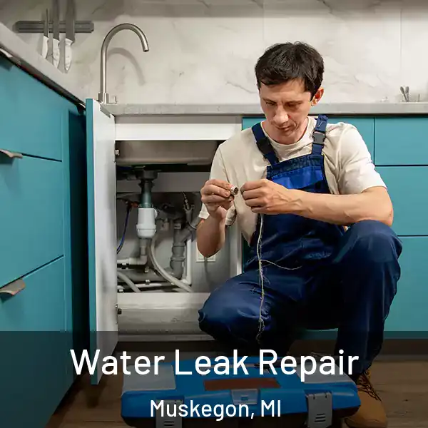  Water Leak Repair Muskegon, MI