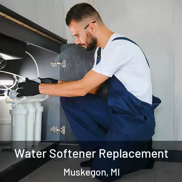  Water Softener Replacement Muskegon, MI