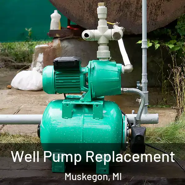  Well Pump Replacement Muskegon, MI
